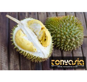 Ini adalah Alasan Durian Tak Boleh Dibawa Masuk ke Transportasi Umum! | Bandar Slot Games | Slot Games